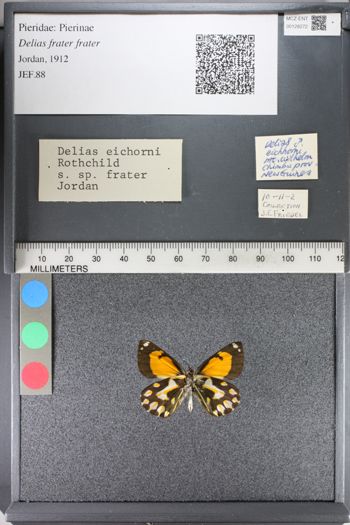 Media type: image;   Entomology 128272